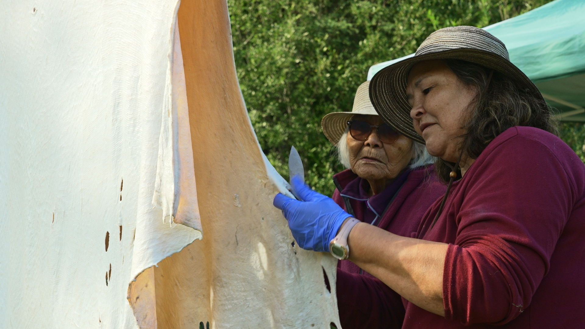 Moccasins: Upper Ahtna Art